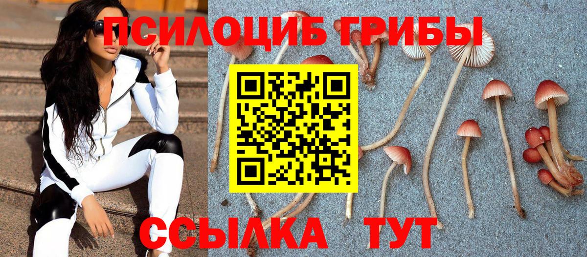 Псилоцибиновые грибы ЛСД Избербаш